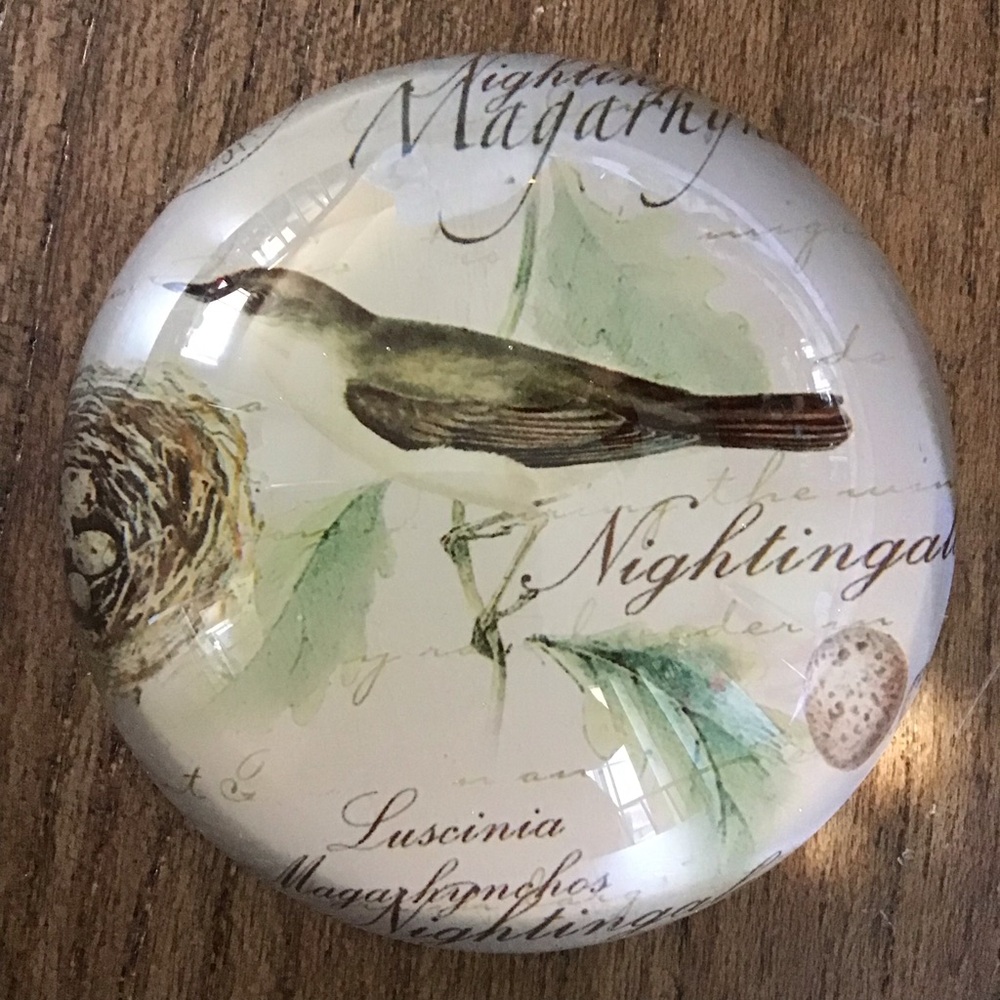 Glass Art Botanical Nightingale Neutral Colored Paperweight